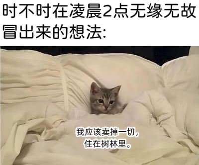这是一张图文混排的搞笑梗图，上方配有文字“时不时在凌晨2点无缘无故冒出来的想法:”，下方是一只灰色小猫从蓬松的白色被子中探出头的照片，猫的前方叠加文字“我应该卖掉一切，住在树林里。”。图片通过可爱的猫咪形象与深夜突然冒出的极端生活想法形成反差萌，幽默地展现了人们在深夜容易产生的无厘头念头，引发共鸣。
