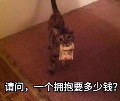 一只虎斑猫站在铺着棕色地毯的房间角落里，嘴里叼着一叠折叠的钞票，眼神认真地望着前方。图片底部配有文字“请问，一个拥抱要多少钱？”，形成了一种拟人化的幽默效果，仿佛猫咪在用金钱换取情感关怀。