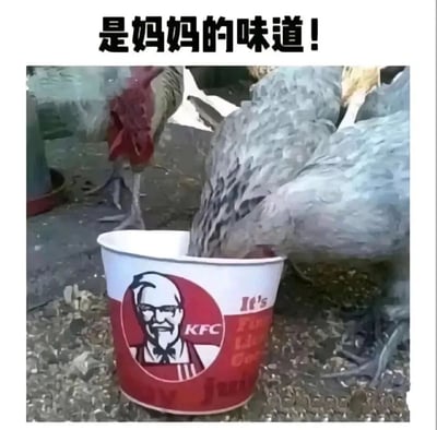 这是一张充满黑色幽默的网络恶搞静态图，画面里几只鸡在地面活动，其中一只灰色的鸡正将头伸进印有肯德基（KFC）标志性老爷爷形象的全家桶中进食，旁边还有一只公鸡在一旁观望。图片上方配有醒目的黑色文字“是妈妈的味道！”，借助肯德基主打炸鸡产品的品牌属性，制造出荒诞的反差感——让鸡“接触”以鸡肉为原料的品牌容器，结合配文调侃仿佛这些鸡在吃到同类的味道，充满讽刺又搞笑的恶搞意味。