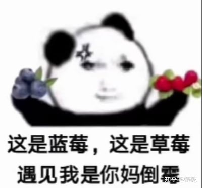 这是一张熊猫头恶搞表情包，图中的熊猫头人脸带着欠揍的得意表情，双手分别举着蓝莓和草莓，配文为“这是蓝莓，这是草莓，遇见我是你妈倒霉”，玩了“莓”和“霉”的谐音梗，用呛人的怼人话术制造搞笑效果，适合用于和朋友互怼、表达摆烂戏谑的情绪。