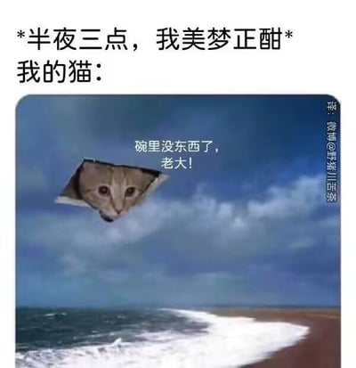 这张梗图采用图文混排的形式，上方文字铺垫场景：“*半夜三点，我美梦正酣* 我的猫：”，下方是一张经过P图改编的图片——将真实猫咪的脸合成到类似飞机舷窗的窗口中，背景是海浪拍打的海边景象，猫咪旁边配有文字“碗里没东西了，老大！”。整幅图生动地还原了铲屎官在深夜熟睡时，被猫咪以食物碗空了为理由叫醒的无奈又好笑的日常，精准戳中了众多养猫人的共鸣，图中没有双关、谐音梗等内容。