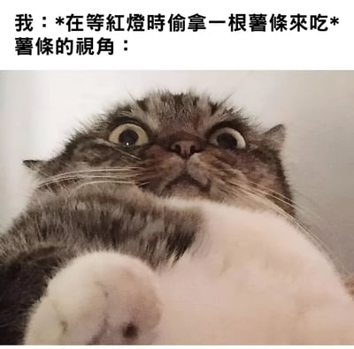 图片上方配有文字“我：*在等红灯时偷拿一根薯条来吃* 薯条的视角：”，下方是一张近距离拍摄的猫的照片。猫咪仰着头，眼睛瞪得很大，瞳孔放大，表情看起来十分惊讶和无辜，仿佛正以薯条的视角看待被人拿起的瞬间。整体通过拟人化的手法，将薯条赋予生命，用猫咪的惊讶表情幽默地展现了“薯条被偷拿时的内心活动”，营造出轻松搞笑的氛围。