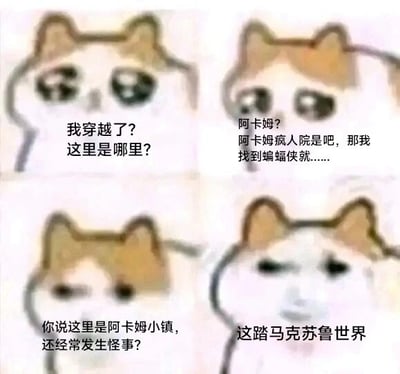 这是一张由mur猫表情包改编的四格连环图，通过图文结合的方式展现了一个穿越者的心理落差与崩溃过程。第一格中猫猫面露疑惑，发出穿越后的疑问；第二格得知地点是“阿卡姆”后，猫猫面露期待，以为是DC宇宙里的阿卡姆疯人院，想着找到蝙蝠侠就能获得依靠；第三格猫猫再次疑惑，因为被告知这里是阿卡姆小镇还常发生怪事；第四格猫猫彻底崩溃，意识到自己身处的是克苏鲁神话中的阿卡姆小镇，而非DC宇宙的阿卡姆疯人院，这种同名地点带来的认知反差，制造出荒诞搞笑的效果。