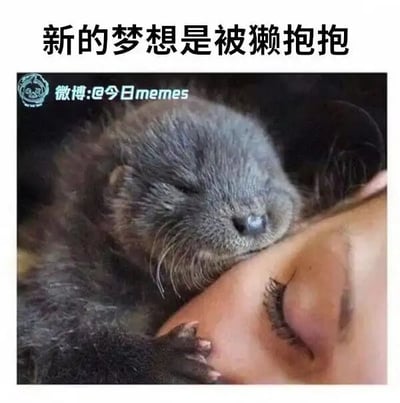 这是一张文字加注的静态单图，画面主体是一只闭着眼睛的小水獭，它亲昵地将脸贴在一位闭眼的人的脸颊上，一只小爪子轻轻搭在人的脸上，水獭神态温顺软萌，人物也呈现出放松平和的状态，整体画面治愈感十足。图片上方配有黑色文字“新的梦想是被獭抱抱”，运用了谐音创意，以“獭”指代水獭，表达出人们想要被可爱萌宠拥抱的美好心愿，传递出对温暖治愈的萌宠陪伴的向往。图片左上角带有微博账号水印。