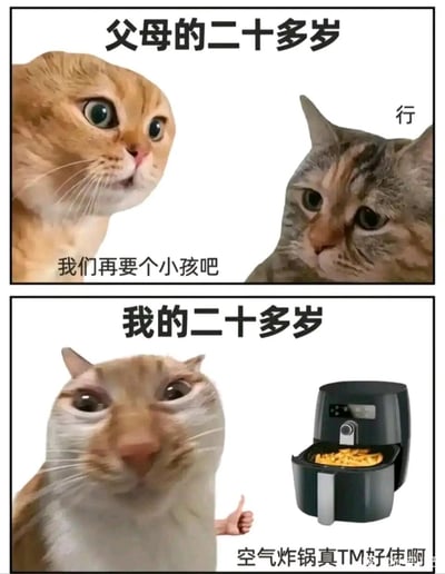 这是一张上下分栏的对比类网络表情包，上栏标题为“父母的二十多岁”，用两只猫咪模拟父母辈的状态：左侧橘猫眼神明亮、神态期待，配文“我们再要个小孩吧”，右侧狸花猫表情平淡、神态淡然，配文“行”，体现出父母辈二十多岁时的生活重心围绕家庭与生育展开；下栏标题为“我的二十多岁”，一只眼神疲惫、神态倦怠的猫咪旁搭配着一台炸着食物的空气炸锅，配文“空气炸锅真TM好使啊”，展现出当代年轻人二十多岁更注重生活好物、享受轻松个人生活的状态，通过代际生活状态的强烈反差制造幽默效果，引发年轻人的共鸣。