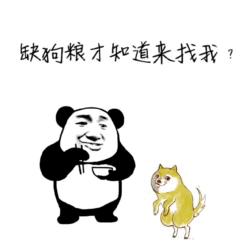 缺狗粮才想起我？熊猫头质问小狗