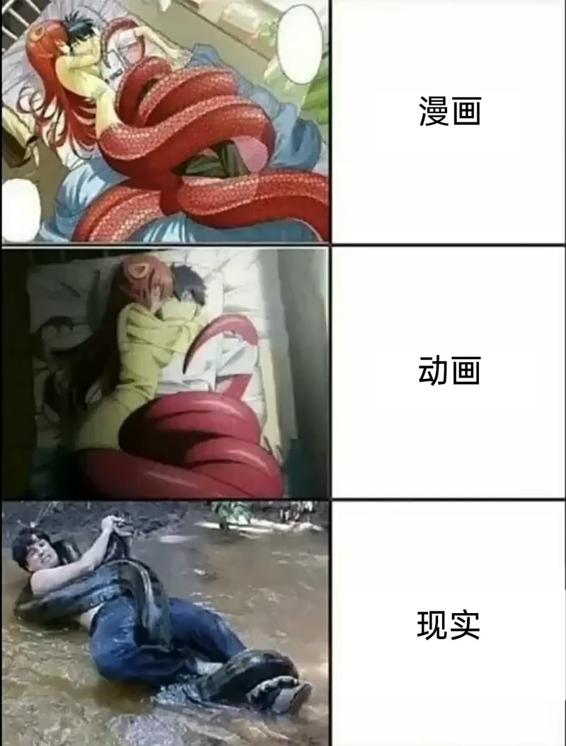 《魔物娘的同居日常》
