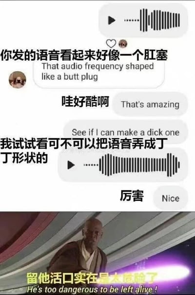这张梗图由两部分组成。上半部分是模拟的聊天记录截图，展示了一段关于语音波形形状的搞笑对话，其中一人评论对方发的语音波形看起来像肛塞，另一人回应说要尝试制作丁丁形状的语音波形。下半部分是《星球大战》电影截图，展示了梅斯·温杜大师手持紫色光剑的场景，图片上添加了文字"留他活口实在是太危险了"，形成幽默的反差效果。