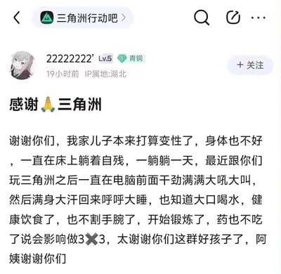 这是百度贴吧「三角洲行动吧」的一篇用户原创帖子，楼主自称是一位湖北的母亲，发帖感谢游戏《三角洲行动》。帖子中提到，原本儿子有变性的打算，身体状态很差，长期卧床自残；在接触《三角洲行动》后，儿子变得干劲十足，不仅作息规律、开始健康饮食和锻炼，还停止了自残行为，甚至为了游戏表现停药，楼主对此充满感激，以阿姨的身份向游戏相关群体致谢。内容无谐音、双关或暗示，是充满真情实感的玩家家属反馈。