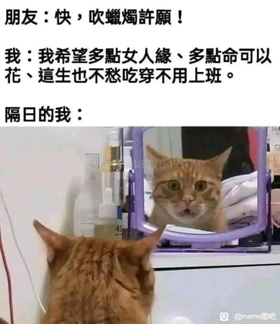 这是一张趣味十足的图文混排meme图，上方文字构建了一个日常许愿场景：朋友催促“我”吹蜡烛许愿，“我”许下了拥有女人缘、有花不完的钱财、无需上班且一生不愁吃穿的愿望；下方的照片则展示了“许愿成真”后的画面：一只橘猫背对着镜头，正看着镜子里自己震惊的脸。这个梗的笑点在于，橘猫通常会受到很多人的喜爱，完美契合“多点女人缘”的愿望，同时橘猫被主人饲养，不用工作就有吃有喝，完全满足了“不愁吃穿不用上班、有钱花”的诉求，而猫看到自己模样的震惊表情，更是放大了愿望成真后的荒诞感，精准戳中了当代人不想上班、向往轻松被供养生活的心态。