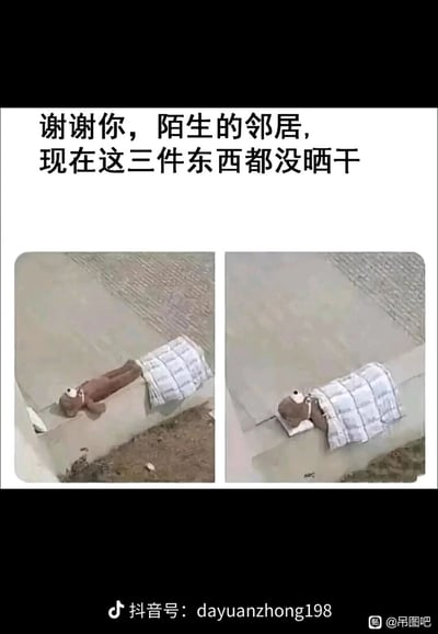 这是一张左右对比的图文混排搞笑图，上方配文“谢谢你，陌生的邻居，现在这三件东西都没晒干”。左侧图片展示了一只毛绒玩具熊和一条格子毯子搭在水泥台沿上晾晒的场景，玩具熊的身体在台面上，头部悬在台外，毯子盖在熊的下半身；右侧图片则是邻居好心帮忙调整后的场景，给玩具熊垫了一个小垫子，还将毯子完全盖住了熊的身体和头部，原本能晒到太阳的部分都被遮挡，导致玩具熊、毯子和新增的小垫子这三件物品都无法被太阳晒到，形成了好心办坏事的生活乌龙，充满搞笑趣味。