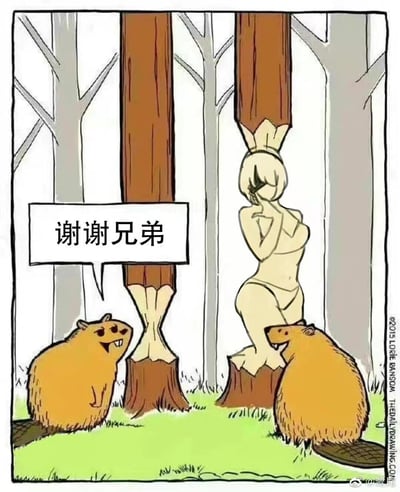 这是一张创意搞笑的卡通梗图，场景设定在树林中，画面左侧的海狸对着右侧的海狸说出“谢谢兄弟”的对白，右侧的海狸将一棵树的下半部分啃成了游戏《尼尔：机械纪元》中经典角色2B的造型，利用树桩被啃咬后的截面和剩余部分，巧妙组合出2B的标志性发型与坐姿体态，将海狸啃树的习性与知名游戏角色结合，形成荒诞又趣味十足的反差效果，传递出一种兄弟间“帮忙实现趣味想法”的搞笑氛围。