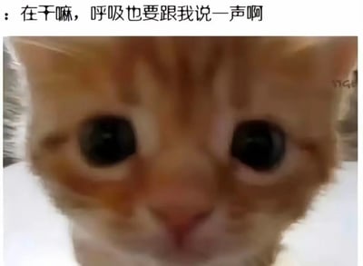 图片上方配有文字“在干嘛，呼吸也要跟我说一声啊”，下方是一只橘猫的近距离特写。猫咪有着圆圆的大眼睛，眼神呆萌又专注地直视镜头，表情无辜中带着一丝认真。文字以夸张、俏皮的语气模拟了过度关心的场景，与猫咪纯真的表情形成幽默反差，整体营造出可爱又搞笑的氛围。