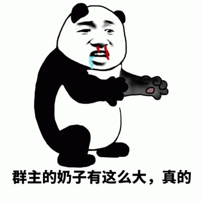 这是一张典型的熊猫头表情包，图中熊猫身体上嫁接了人类的面部特征，表情夸张，嘴角有红蓝两色液体流出，一只手伸出手掌向前比划大小。图片下方配有文字“群主的奶子有这么大，真的”，通过夸张的肢体语言和文字内容形成幽默效果。