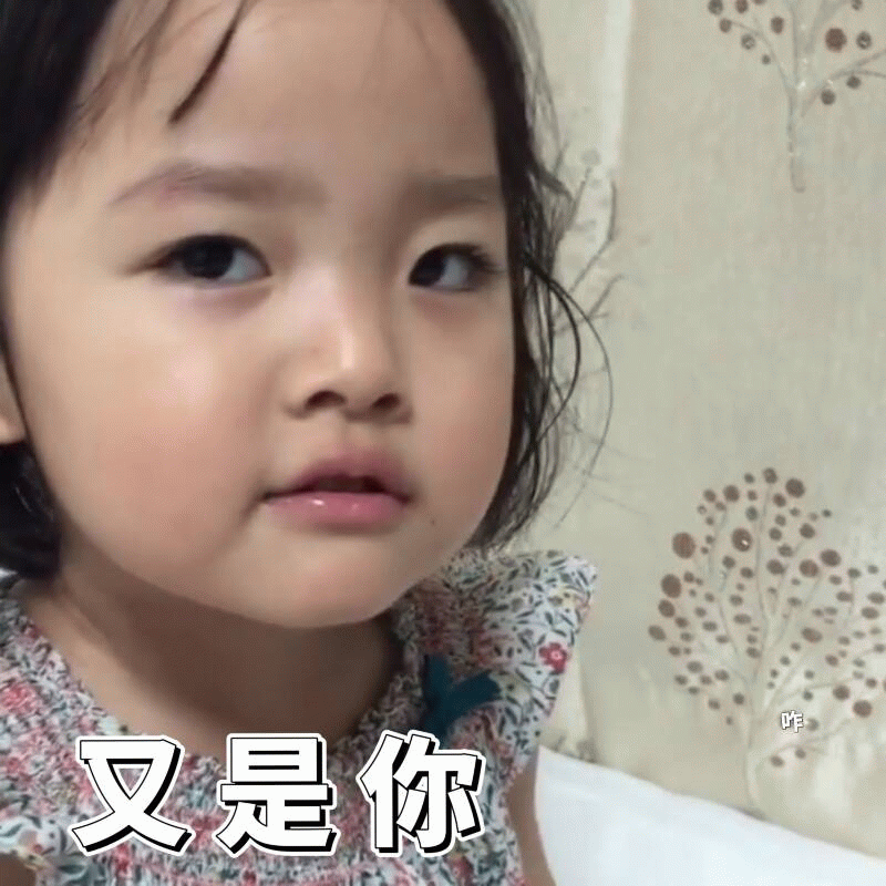权律二