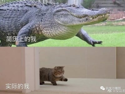 这是一张上下拼接的反差类梗图：
- 上图是一只姿态威猛、迈步前行的鳄鱼，配文「简历上的我」，用来象征简历中被包装得能力出众、气场强大的自己；
- 下图是一只从墙角处小心翼翼探头迈步的小短腿猫咪，配文「实际的我」，代表真实生活中拘谨、能力与简历描述有差距的自己。

图中通过两种动物形象的强烈反差，调侃了求职场景里简历美化与个人真实状态的落差，精准戳中职场人的自嘲心理，无谐音梗或双关暗示。
