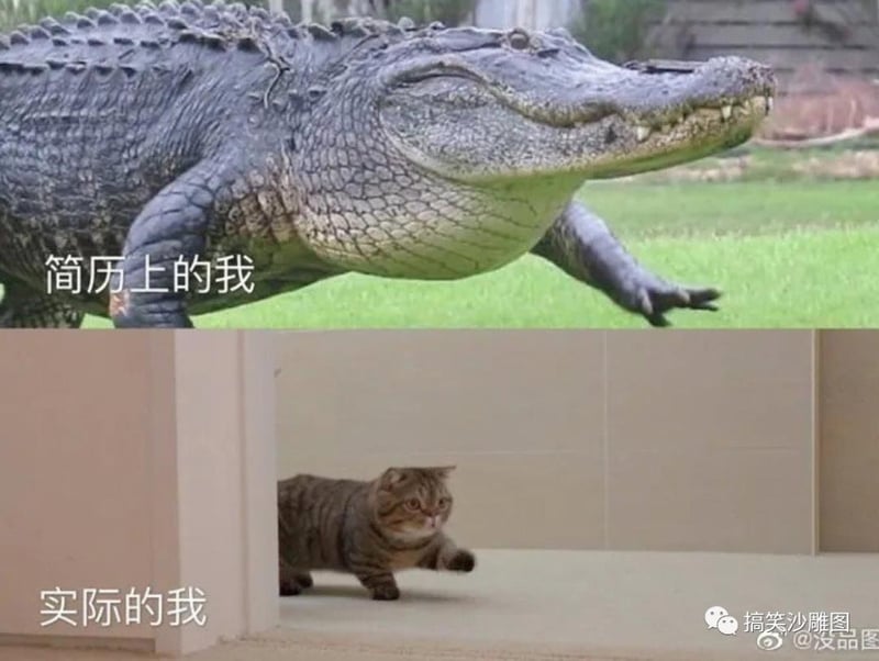 鳄鱼