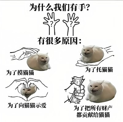 这是一张以猫咪为主题的搞笑 meme 图，顶部用黑色大字提问“为什么我们有手？”，下方配有两只带问号的手形简笔画。中间以“有很多原因：”引出四个场景：左侧上图为手抚摸白猫配文“为了摸猫猫”，右侧上图为手托起白猫配文“为了托猫猫”，左侧下图为双手比心环绕白猫配文“为了向猫猫示爱”，右侧下图为手捏钞票旁卧白猫配文“为了把所有财产都贡献给猫猫”。整体通过幽默方式展现铲屎官对猫咪的喜爱与奉献精神。
