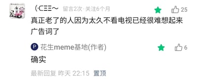 这是一张社交媒体评论区的静态截图，呈现了用户与内容作者的互动内容。用户“(·CΞΞ～”发布评论称，真正上了年纪的人由于长期不观看电视，已经很难回忆起广告词，该评论收获了25个点赞；内容发布者“花生meme基地”回复“确实”，这条回复获得6个点赞并被设置为置顶，最新回复时间显示为昨天22:15。这段互动围绕着不同年龄层媒体接触习惯的差异展开，以生活化的细节引发共鸣。