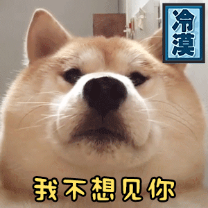 冷漠柴犬：我不想见你