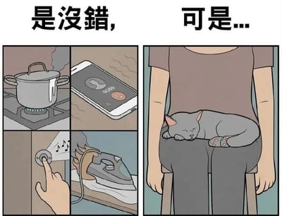 图片上方有文字“是没错，可是...”，下方分为左右两部分。左侧为2x2网格的四格漫画，分别展示：燃气灶上沸腾溢出的锅、显示“BOSS”来电且发烫的手机、手指正在打开的音乐播放器、底部冒烟燃烧的熨斗，暗示多项紧急待处理的责任。右侧为一个人坐在凳子上，灰色猫咪蜷缩在其腿上熟睡的温馨画面。整体通过对比展现了日常责任与陪伴宠物之间的内心纠结。