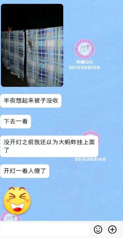 用户半夜想起没收被子，下楼查看时，没开灯的情况下把被子上的衣架错看成大蚂蚱，开灯后发现真相整个人愣住，通过聊天记录截图搭配表情包分享了这个搞笑的生活乌龙事件，画面里的格子被子和衣架的视觉错觉是笑点来源。
