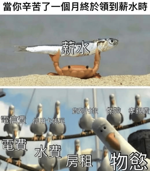 海底总动员