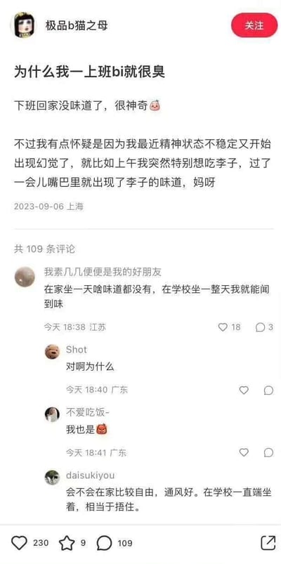 社交媒体用户发布的一篇关于职场体验的帖子，标题为'为什么我一上班bi就很臭'。内容描述了作者发现自己上班时会出现身体异味，但下班回家后味道消失的奇特现象，并怀疑可能与近期精神状态不稳定导致的幻觉有关，还举例说明曾出现想吃李子就闻到李子味的经历。帖子下方有109条评论，展示了几条其他用户的共鸣回应，如有人表示在学校久坐也会有类似体味问题。