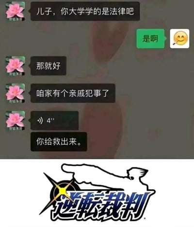 这张图片由上下两部分拼接而成：上半部分是模拟的微信家庭聊天记录，母亲先确认儿子的大学专业是法律，随后告知自家有亲戚犯事了，发送一段4秒语音后，向儿子提出“你给救出来”的请求；下半部分是卡普空旗下法庭辩论冒险游戏《逆转裁判》的标志性logo，包含主角成步堂龙一手指前方的剪影和游戏标题。图片通过将现实中家人对法律从业者的朴素请求，与游戏中律师通过逆转思维在法庭上为委托人扭转局势的核心玩法结合，制造出反差幽默，调侃了部分人对法律工作的简单化认知，把“救出亲戚”的诉求对应到游戏里的胜诉逆转情节。