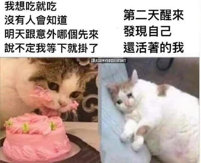 这是一张左右对比结构的搞笑梗图，左侧图中一只猫咪脸上沾满粉色奶油，正低头大口啃食粉色奶油蛋糕，上方配文表达破罐破摔、放纵吃喝的心态；右侧图是一只猫咪一脸呆滞生无可恋地瘫着，对应配文调侃放纵后的状态，精准戳中当代人抱着侥幸心理放纵享乐后，没有出现预想的“意外”，反而要为自己之前的行为买单的无奈自嘲心态，很有共鸣感。