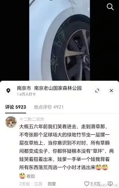 图片由两部分组成：上半部分是汽车轮胎的特写，轮胎边缘和轮毂上有类似蛛网或划痕的痕迹；下半部分是社交媒体的地点评论截图，显示南京市南京老山国家森林公园的评价页面，其中一条高赞评论（3.0万赞）描述了五六年前在公园滑草区遭遇大量绿色竹节虫的恐怖经历——“足球场大的绿地竹节虫一层摞一层，草瞬间变成虫子”，导致带娃落荒而逃一小时。原标题“卧槽 真的好恶心”表达了对这一场景的强烈不适。