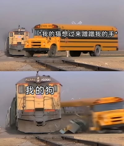 图片为上下两格对比图，上方画面中一辆黄色校车正缓慢行驶在铁轨上，配文“*我的猫想过来蹭蹭我的手*”，表现猫咪温柔亲昵的行为；下方画面中一辆火车猛烈撞击校车，配文“我的狗”，用夸张的碰撞场景幽默对比狗狗热情奔放甚至略显“莽撞”的亲近方式。通过交通工具的速度和冲击力差异，生动展现了猫与狗在表达爱意时的性格反差。