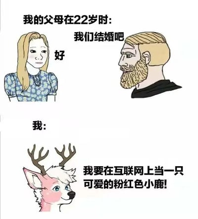 这张梗图通过对比展示了父母辈和当代年轻人在22岁时的不同生活选择：上方卡通风格的父母形象对话“我们结婚吧”并得到“好”的回应，体现父母辈22岁时的婚恋决定；下方则是“我”的形象配文“我要在互联网上当一只可爱的粉红色小鹿!”，幽默呈现当代年轻人更倾向于网络身份构建的生活态度。图中使用简洁的卡通插画和直白文字，突出两代人价值观的差异。