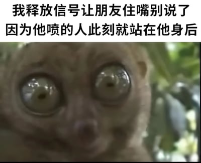 图片上半部分为黑色文字：“我释放信号让朋友住嘴别说了 因为他喷的人此刻就站在他身后”，下半部分是一张懒猴的特写照片，懒猴双眼圆睁，瞳孔放大，表情显得极度震惊和慌张，完美呼应了文字描述的社交尴尬场景——当朋友正在背后吐槽某人时，被吐槽者恰好出现在身后的紧张瞬间。