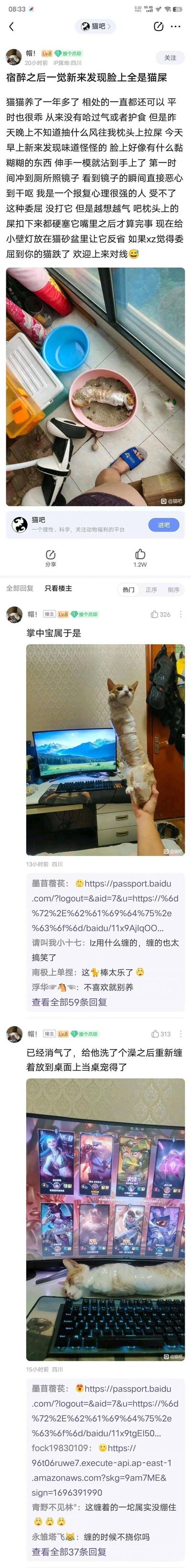 这是百度贴吧猫吧用户发布的原创帖子，楼主分享自己宿醉醒来，发现自家养了一年多的乖猫在枕头上拉屎，还弄到了自己脸上，愤怒之下做出一系列搞笑报复行为：把猫屎塞回猫嘴里，用塑料膜将猫缠起来放进猫砂盆“反省”；之后消气给猫洗澡，重新缠好放在键盘上当“桌宠”。帖子附带三张实拍图，分别是被缠的猫在猫砂盆里、被主人举着的缠好的猫、趴在键盘上的缠好的猫。评论区网友反应不一，有人觉得搞笑，也有人表示“不喜欢就别养”。