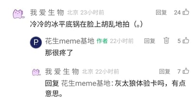 这是一张社交媒体平台的评论区截图，展示了用户“我爱生物”与账号“花生meme基地”的趣味互动。用户首先改编张学友《冰雨》的经典歌词，将“冷冷的冰雨在脸上胡乱的拍”改成“冷冷的冰平底锅在脸上胡乱地拍（。）”，制造出荒诞搞笑的场景；账号作者回复“那很疼了”，用户紧接着联想到国产动画《喜羊羊与灰太狼》中经常被红太狼用平底锅拍打的灰太狼，调侃这是“灰太狼体验卡吗，有点意思”，整个互动过程充满玩梗的趣味，用经典内容的改编和动画角色的联想，营造出轻松搞笑的氛围。