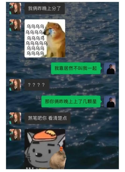 这是一段充满乌龙的搞笑聊天记录截图：女生先发消息“我俩昨晚上分了”并配上哭泣的Doge表情包，表达自己和对象分手的难过；但朋友完全误解成“和别人一起打游戏提升段位（上分）”，抱怨对方没叫自己一起，还追问“上了几颗星”。女生见状骂朋友没看清楚自己的意思，最后发了灰太狼和水豚的拼贴表情包。
笑点在于谐音梗：“上分”在游戏语境里是提升段位，而女生说的“分了”是情侣分手，朋友的理解完全错位，形成了搞笑的乌龙对话。