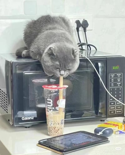 一只灰色蓝猫趴在黑色格兰仕微波炉顶部，身体前倾，正低头用吸管专注地喝着放在微波炉前的珍珠奶茶。微波炉显示屏显示时间为6:33，旁边有电源插头和电线。台面上还放着平板电脑、鼠标和几包零食，整体场景温馨又搞笑，展现了宠物猫咪的调皮可爱日常。