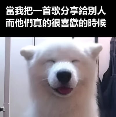 图片上方有一行文字‘当我把一首歌分享给别人而他们真的很喜欢的时候’，下方是一只白色萨摩耶犬的特写，它闭着眼睛，嘴角上扬，舌头微微伸出，露出非常开心满足的表情，整体传达出分享喜好被认可时的愉悦心情。
