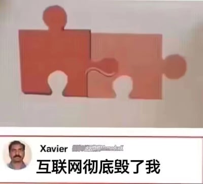 这是一张顶配底文的搞笑自嘲梗图，上方是两块设计特殊的拼图，其拼接部分的形状会让被互联网各类梗影响的人产生不雅联想；下方是社交媒体用户Xavier的发言截图，配文“互联网彻底毁了我”，以此自嘲因为长期接触互联网内容，自己的认知被改变，看到正常事物也会产生奇怪的联想，通过视觉错位的趣味设计和精准的吐槽，引发网友对网络内容影响认知的共鸣，制造出荒诞搞笑的效果。