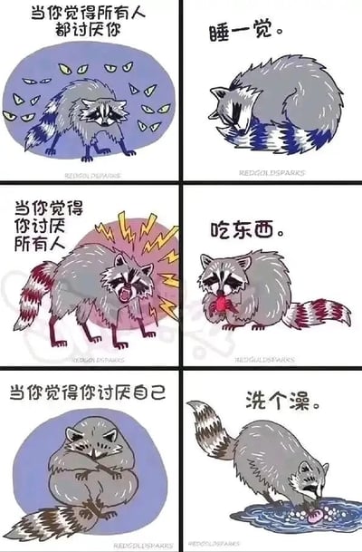 这是一组由六张静态图组成的连环卡通作品，以拟人化的浣熊为核心角色，对应呈现了三种不同的负面情绪状态，并给出了对应的情绪缓解小方法。第一组：左上的浣熊缩成一团，周围环绕着类似眼睛的图案，神情焦虑不安，配文“当你觉得所有人都讨厌你”；右侧对应的图里，浣熊蜷起身体进入睡眠状态，配文“睡一觉。”，传递出睡眠能缓解焦虑的建议。第二组：左下的浣熊炸毛嘶吼，周身有闪电特效，神情愤怒暴躁，配文“当你觉得你讨厌所有人”；右侧对应的图里，浣熊正坐着进食，配文“吃东西。”，用进食来安抚愤怒的情绪。第三组：最下方左侧的浣熊抱膝蜷缩，神情低落沮丧，配文“当你觉得你讨厌自己”；右侧对应的图里，浣熊在水中专注地搓洗物品，配文“洗个澡。”，借清洁行为来舒缓自我厌恶的低落情绪。整体画风软萌可爱，用简单易懂的日常行为，传递出温暖治愈的情绪调节思路。