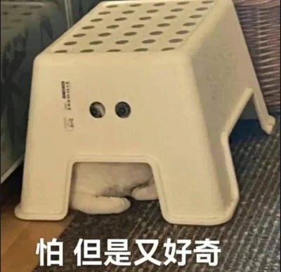 图片中一只白色小猫躲在白色塑料凳下方，凳面布满圆孔，小猫的两只眼睛恰好从凳子正面的两个圆形孔洞中露出，形成类似人脸的滑稽视觉效果。小猫的前爪蜷缩在身前，身体完全藏在凳下。图片底部配有文字“怕但是又好奇”，幽默地诠释了小猫既胆怯不敢完全出来，又忍不住好奇向外张望的矛盾可爱状态。