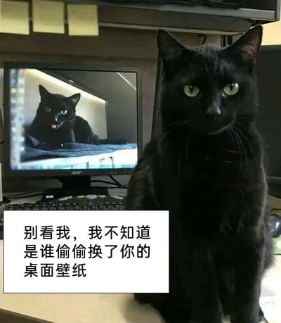 一只黑猫坐在电脑前，电脑屏幕上显示着它自己吐舌头的照片。图片左下角有文字气泡写着：'别看我，我不知道是谁偷偷换了你的桌面壁纸'。这张图通过猫咪拟人化的否认，制造出一种幽默效果，暗示可能就是这只猫换了桌面壁纸。