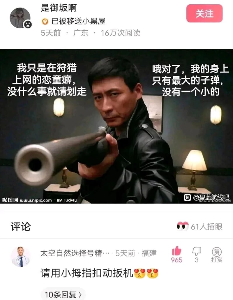燕双鹰系列影视剧（如《猎鹰1949》《飞虎神鹰》）