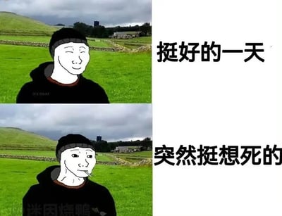 这是一张上下分栏的对比式网络梗图，背景采用相同的绿色乡村户外风景照，前景是Wojak（Feels Guy）风格的卡通人物。上半部分中，卡通人物面带微笑，神情轻松愉悦，右侧配文“挺好的一天”，传递出惬意满足的情绪；下半部分里，同一人物表情变得麻木低落，眼神空洞，嘴里叼着烟，右侧配文“突然挺想死的”，呈现出情绪的瞬间急转直下。整张图通过强烈的状态反差，精准刻画了当代人在生活中毫无预兆陷入消极情绪的状态，极易引发人们在面对压力时的情感共鸣。