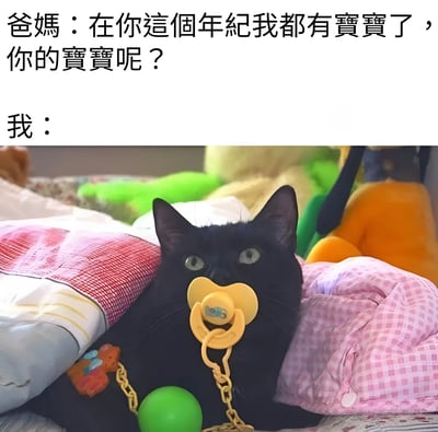 图片上方是爸妈的提问：“在你这个年纪我都有宝宝了，你的宝宝呢？”，下方是一只黑色猫咪的照片作为回应。黑猫含着黄色奶嘴，周围堆满了绿色、橙色等各种颜色的毛绒玩具，脖子上还挂着带绿色球的锁链，被粉色格子布料包裹着，表情呆萌无辜，幽默地将宠物猫比作自己的“宝宝”，用可爱的方式回应了长辈的催生话题。