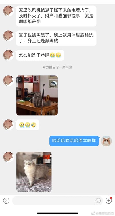 这是一段来自微博的微信聊天记录截图，记录了一位猫主人的趣事：主人称自家猫咪碰落吹风机引发触电着火，好在及时将火扑灭，财产和猫咪都没有受伤，但猫咪被现场的烟熏黑，主人用沐浴露清洗后仍无法去除黑色痕迹，于是向聊天对象求助如何将猫咪洗干净，并发送了被熏黑后灰扑扑的猫咪照片；聊天对象好奇猫咪原本的样子，主人又发出了猫咪原本是浅毛色的照片，前后强烈的模样反差制造出搞笑的效果，让人忍俊不禁。