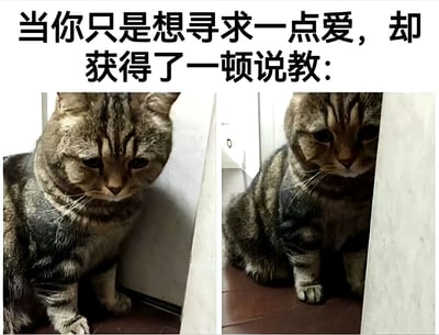 图片上方配有文字“当你只是想寻求一点爱，却获得了一顿说教：”，下方是两张左右排列的虎斑猫照片。左侧猫咪低着头，耳朵耷拉，眼神委屈地靠在墙角；右侧猫咪同样缩在角落，身体微微蜷缩，表情落寞，整体画面通过猫咪的悲伤神态生动展现了“渴望关爱却遭遇说教”的无奈情绪。