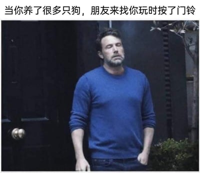 这是一张宠物主题的搞笑梗图，图片上方配有文字“当你养了很多只狗，朋友来找你玩时按了门铃”，图中人物是美国影视演员本·阿弗莱克，他双眼紧闭，神情疲惫又麻木，一只手插在裤袋里站在门前，这个生无可恋的表情精准诠释了养有多只狗狗的主人，在听到门铃后，预想到狗狗们会因门铃狂叫、四处乱窜的混乱场面，那种身心俱疲、无力应对的无奈心情，用夸张的人物表情调侃了养宠生活里的突发小崩溃。