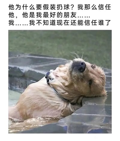 图片上方配有表达信任受伤的文字：“他为什么要假装扔球？我那么信任他，他是我最好的朋友……我……我不知道现在还能信任谁了”。下方是一只金毛犬的照片，它戴着项圈，仰头躺卧在水中，毛发湿漉漉的，眼神低垂，表情显得十分悲伤和沮丧，仿佛正经历着被朋友背叛后的失落情绪。整体通过拟人化的文字与狗狗真实的委屈表情结合，营造出一种令人心疼的氛围。